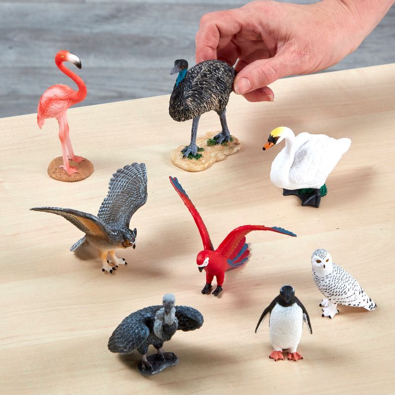 Wildlife Bird Set - Set of 8 | Animals | Cosy Direct