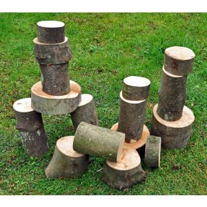 Giant Treeblocks - Pack of 25