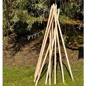 Hardwood Poles - Pack of 10