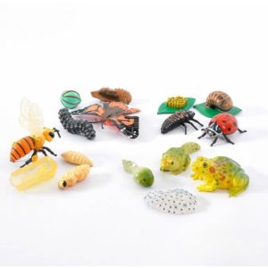 Life Cycle Figures Collections - 16 Piece Set