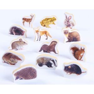 British Wildlife Pieces