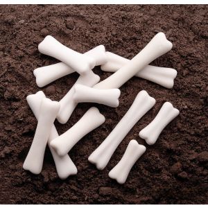 Dinosaur Bones Discover Set - 12 Piece Set