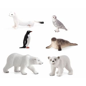 Arctic / Antarctic Set - Set of 6