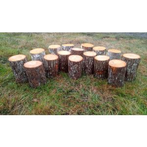 Ampitheatre Seating Half Set - Set of 16