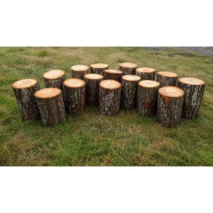 Ampitheatre Seating Half Set - Set of 16