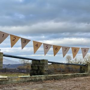 Natural Number Bunting