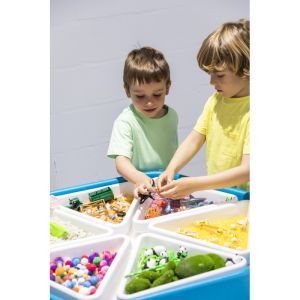 Compartments for Sensory LED Tuff Tray