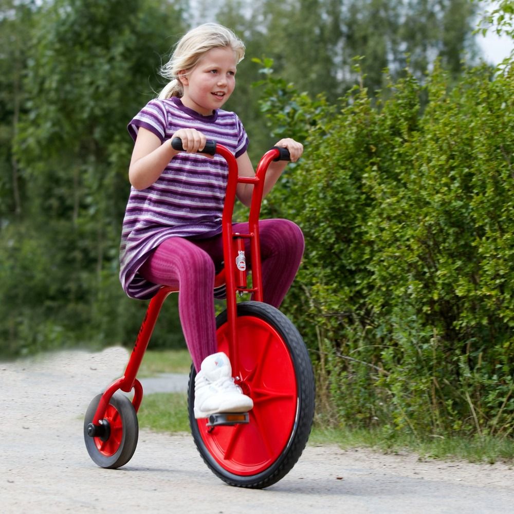 Viking Explorer Penny Farthing