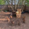 Throne And Seats