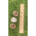Vertical Rustic Number Ladder