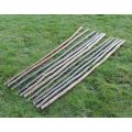 Den Making Poles - Pack of 12