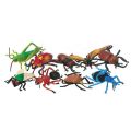 Giant Insect Collection - 10 Piece Set