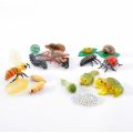 Life Cycle Figures Collections - 16 Piece Set