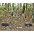 Tyre Washing Line Stand