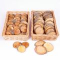 Large Wooden Discs - Set of 30