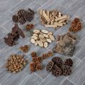 Woodland Loose Parts Set