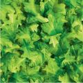 Artificial Leaves Pack - Pack of 200
