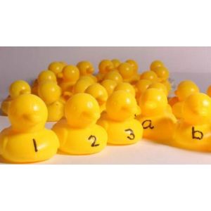 Draw Your Own Rubber Ducks (32Pk)