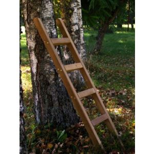 Wooden Play Ladder