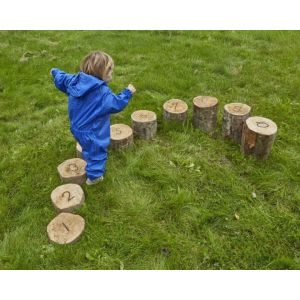 Number Logs Height Sorted (10Pk)