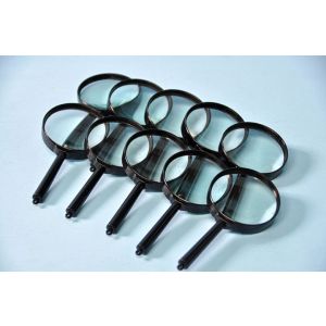 Bulk Pack Of Magnifying Glasses (10Pk)
