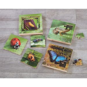Lifecycle Insect Layered Jigsaws (3Pk)