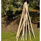 Hardwood Poles (10Pk)