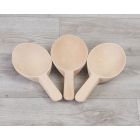Short Handle Wooden Spoons (3Pk)