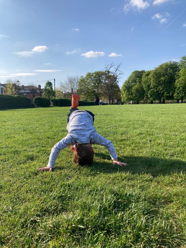 Explore and Investigate in the Garden