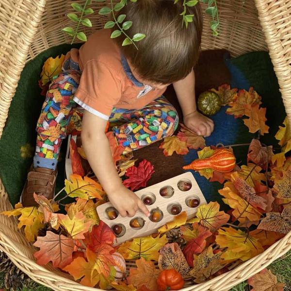 Acorn activity ideas