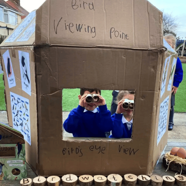 Big Garden Birdwatch 2026: A Joyful Nature Moment