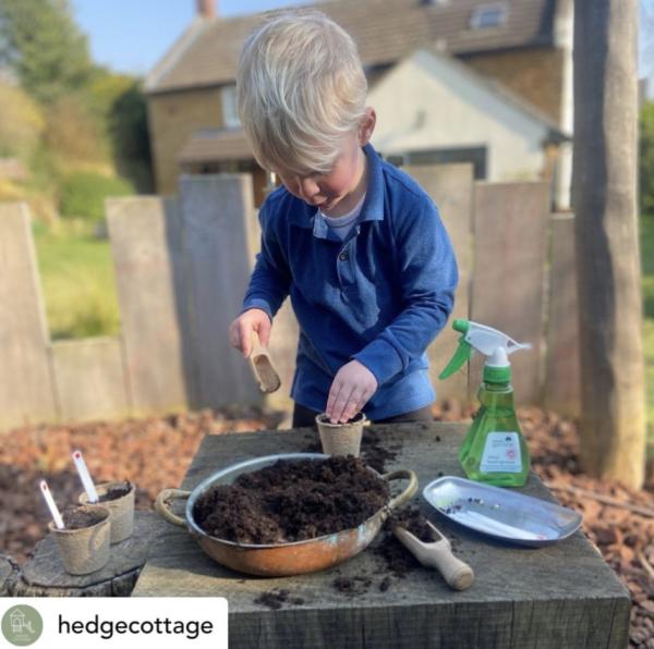 Shoots, Roots and Harvesting Beetroots