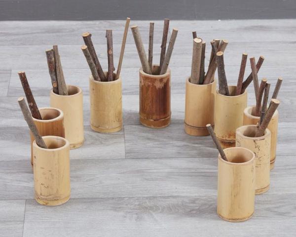 Sustainable Bamboo resources