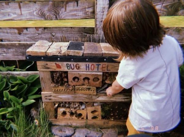 Becoming Bug Friendly: Welcoming Minibeasts In Your Setting