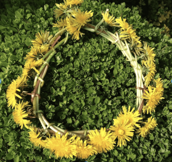 Dandelion Play – 12+ Outdoor Ideas For All Ages