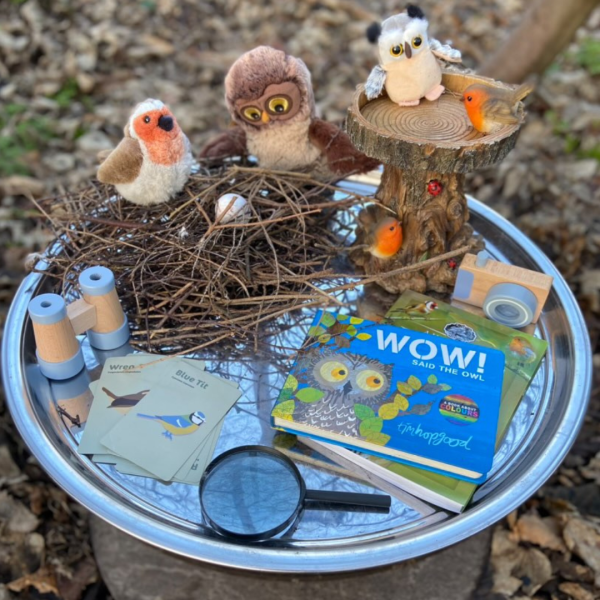20 Outdoor Bird Games and Activities