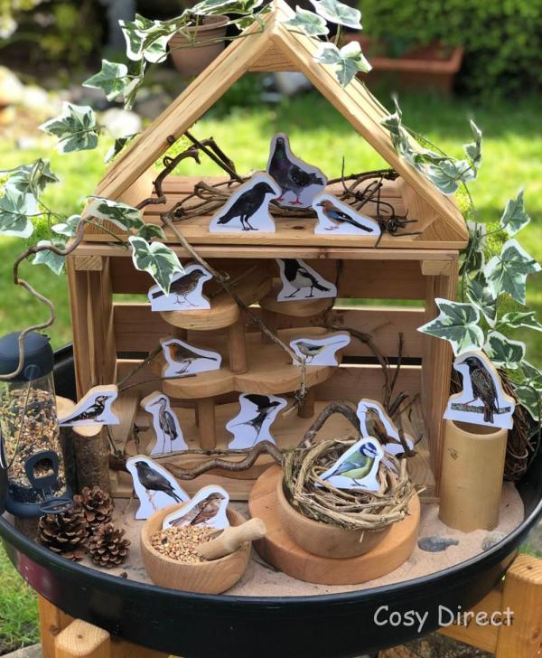 The Big Garden Bird Watch - Activities with Children