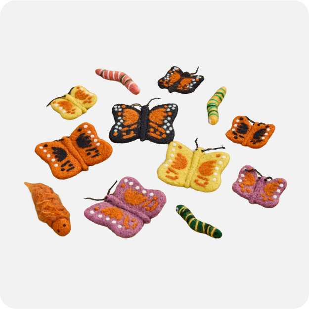 Shop Explore & Investigate Resources