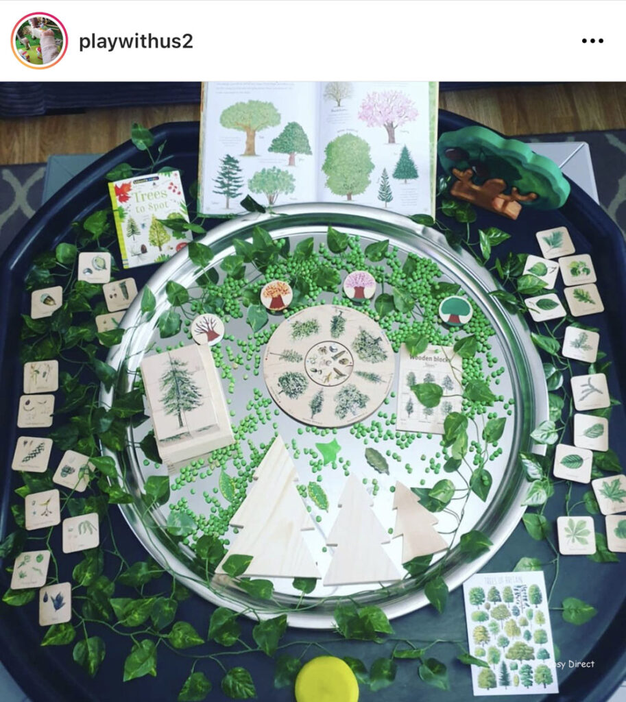 mirror tray play ideas