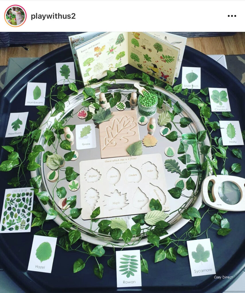 mirror tray play ideas