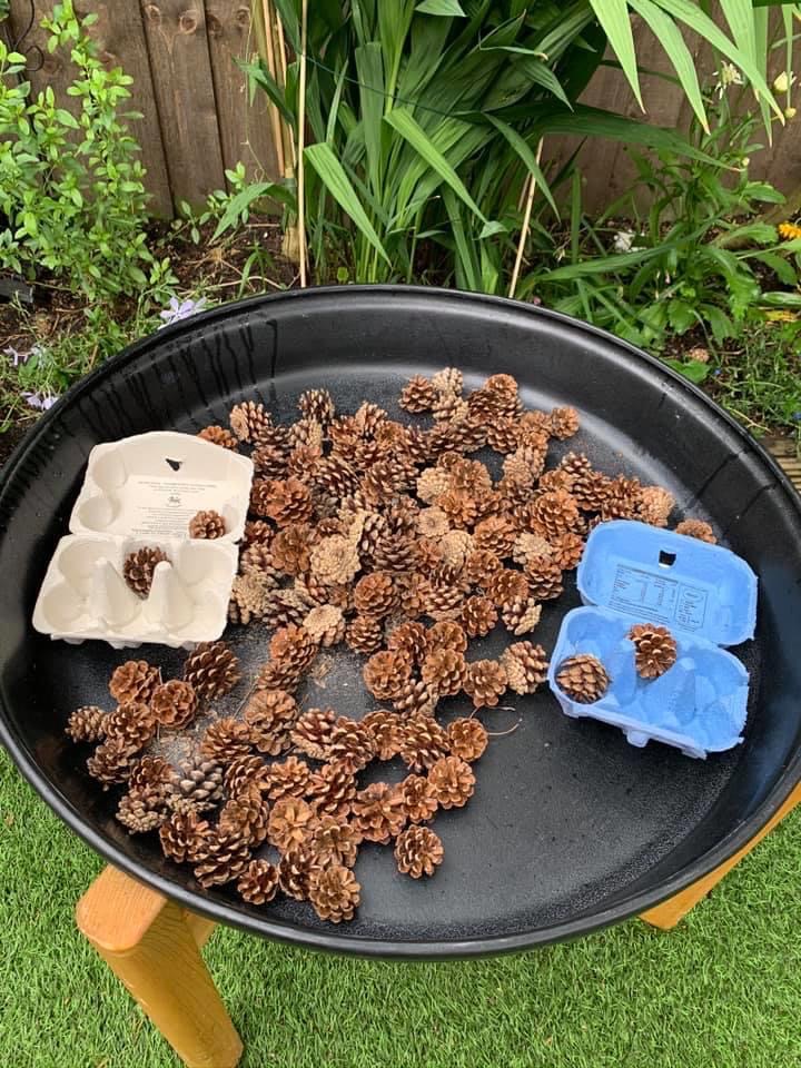 tray play - ark Group - nature