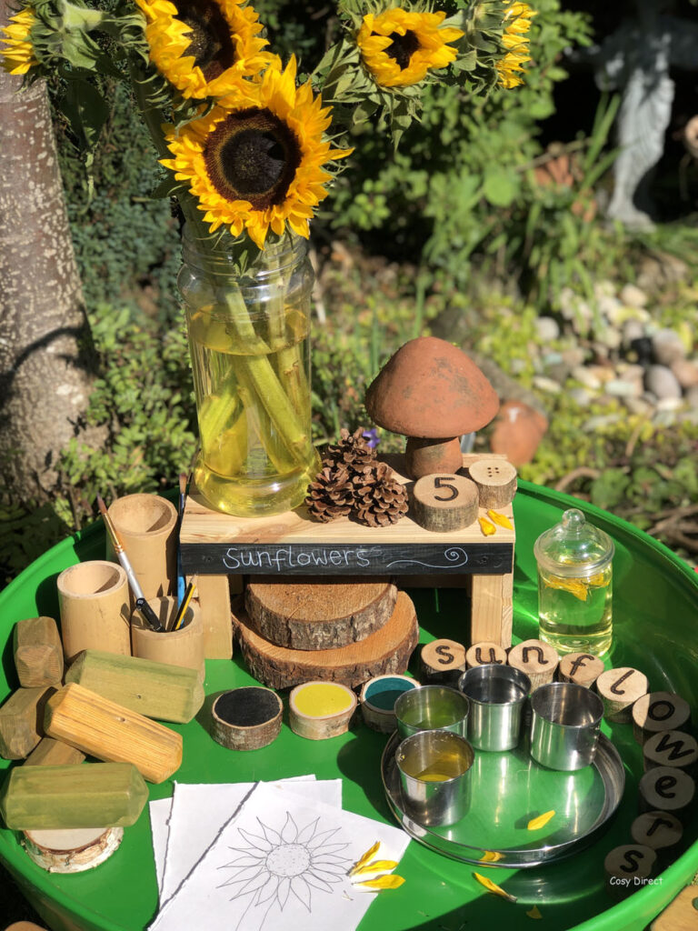 tray play - sunflower investigation