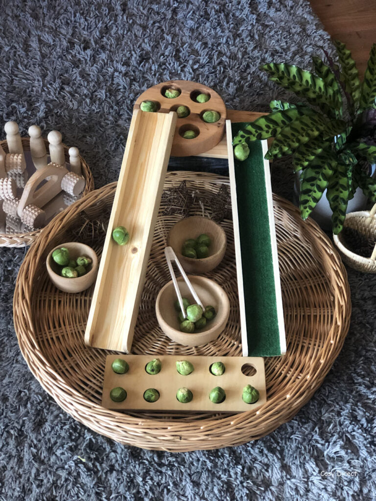 Wicker Tray Play -sprout races