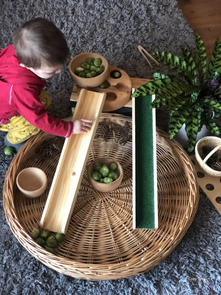 Wicker Tray Play -sprout races