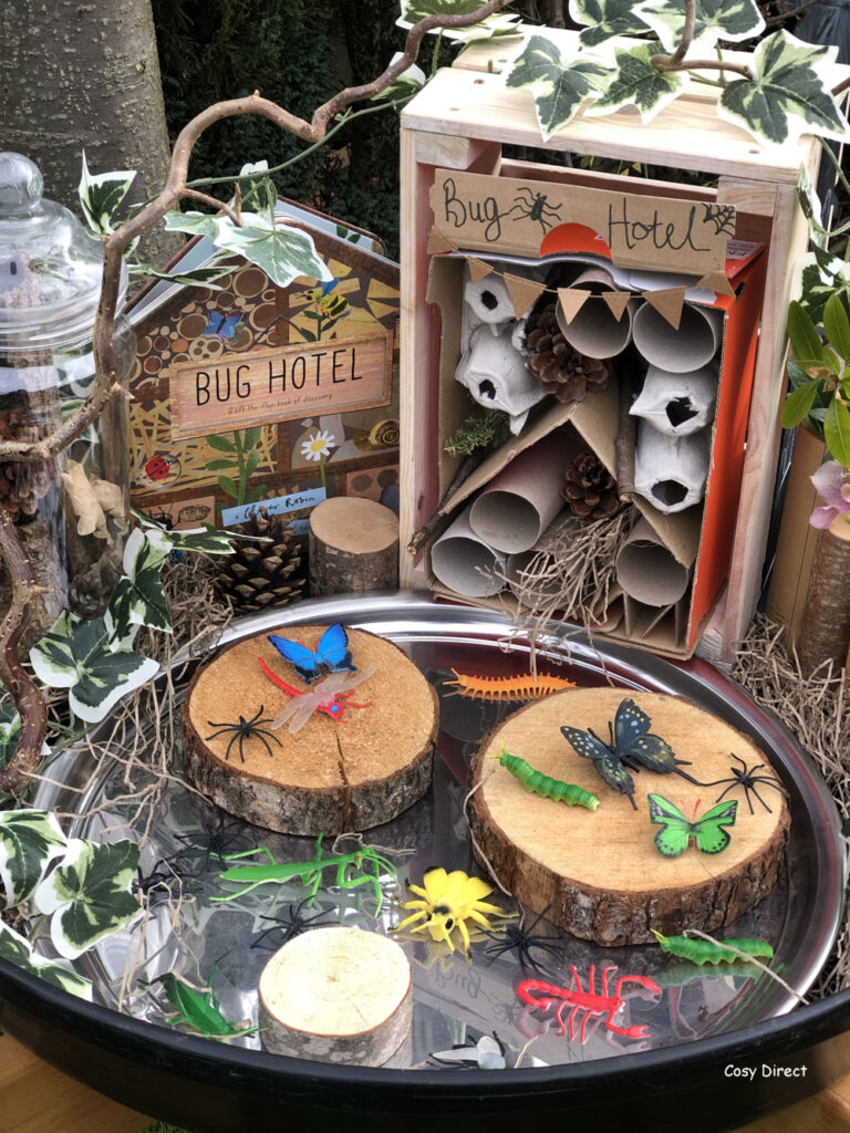 Minibeasts - Learning through Play