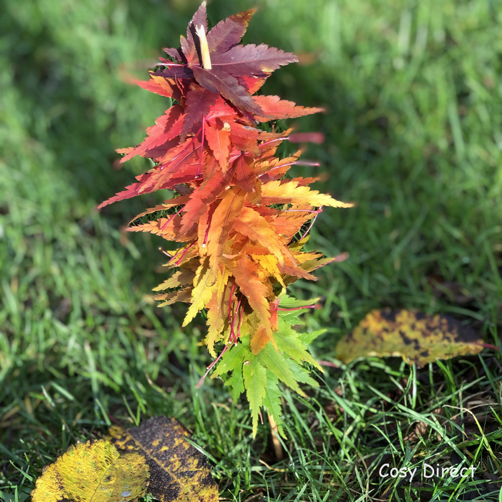 Autumn activity ideas - leaf kebab