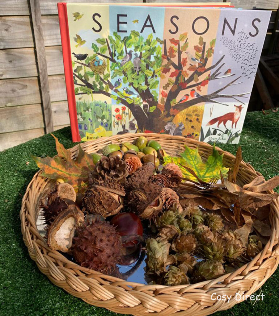 Cosy Autumn Books