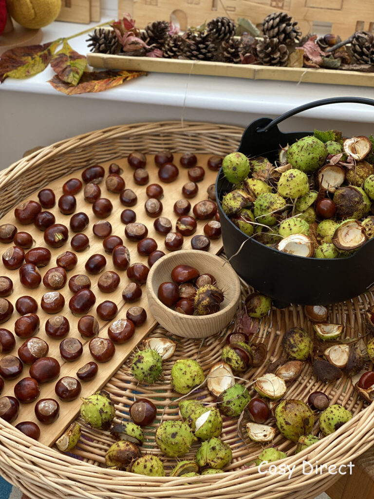 ways to play with conkers