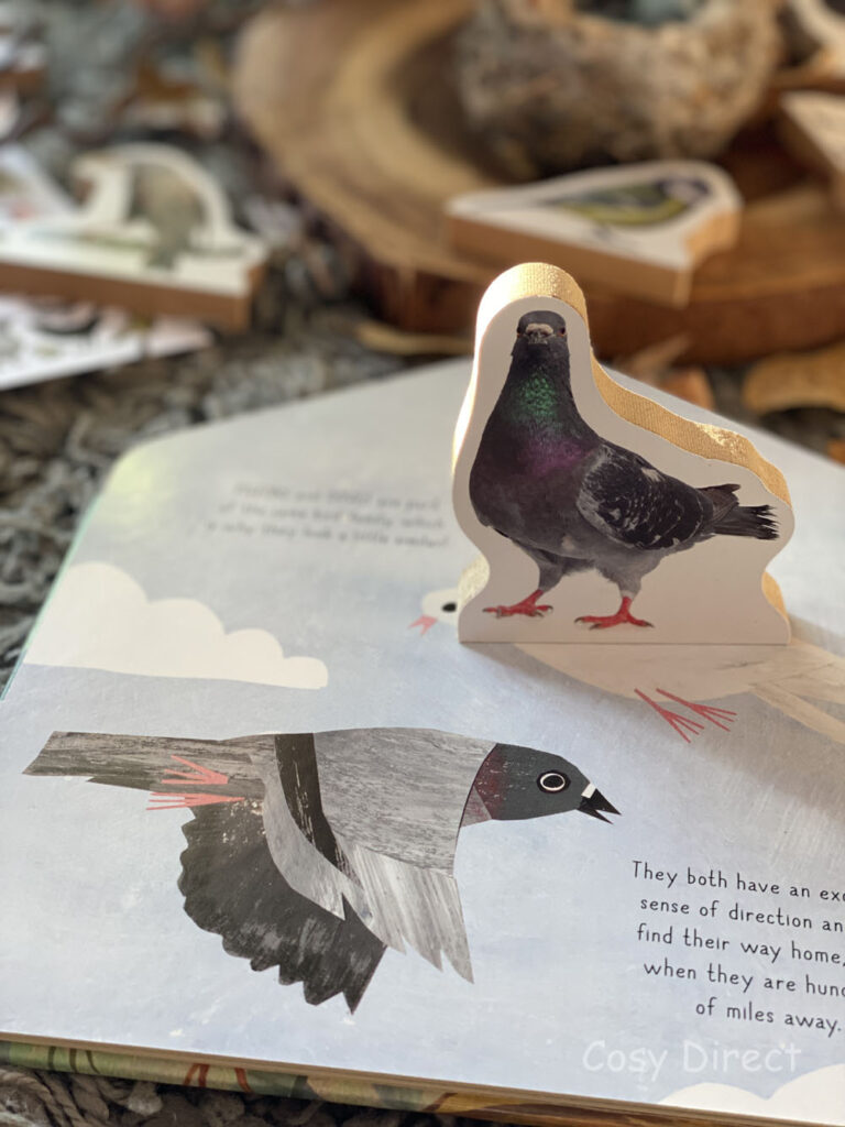 Great British Bird Watch activities for children