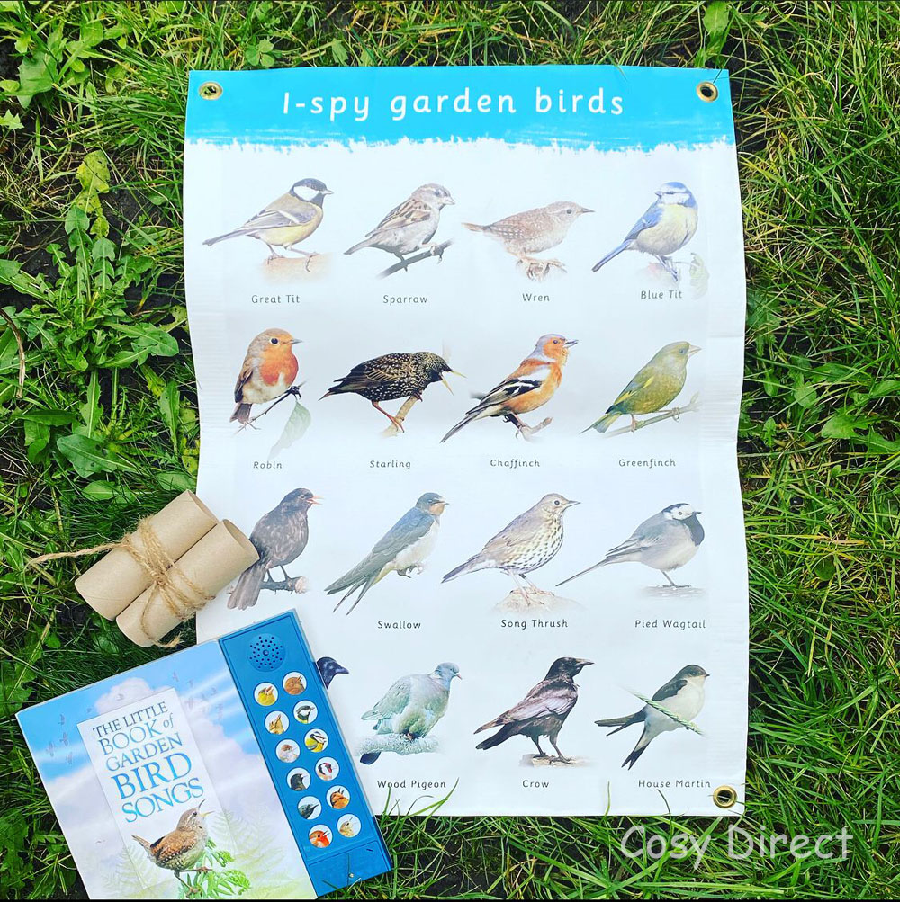 Great British Bird Watch activities for children
